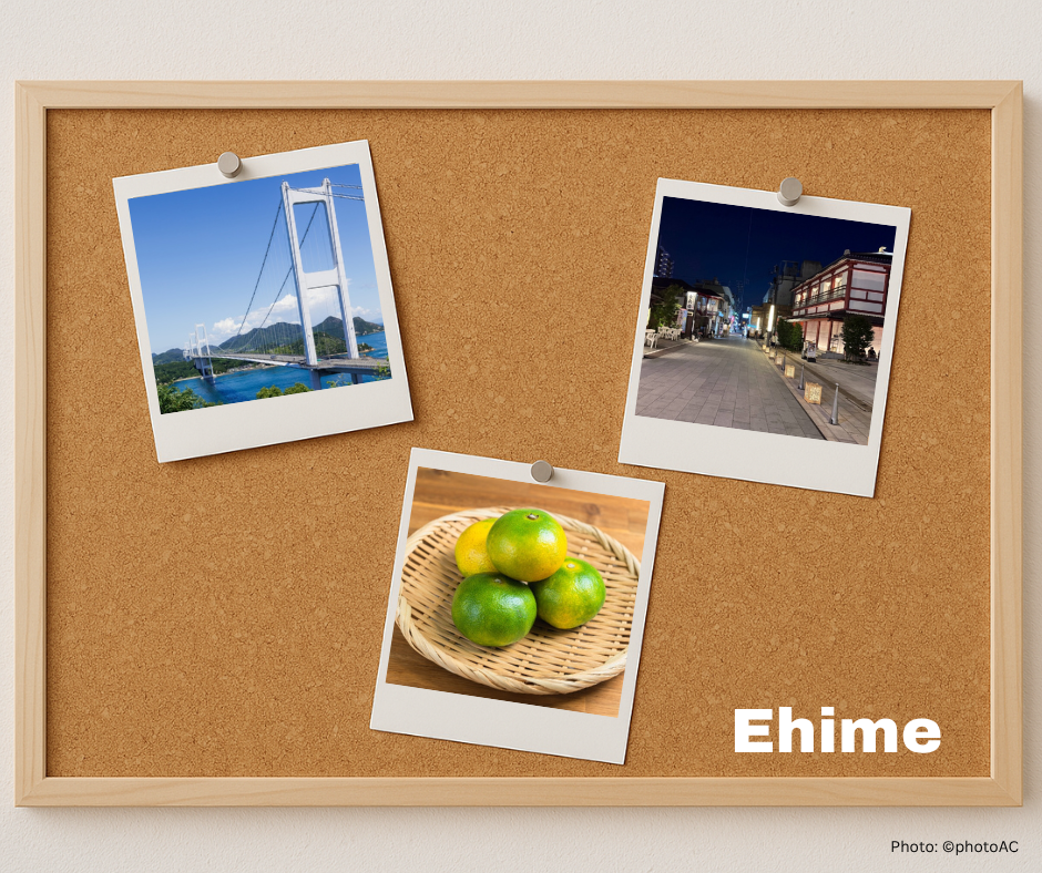 愛媛県、祐気取り、しまなみ海道、みかん、道後温泉