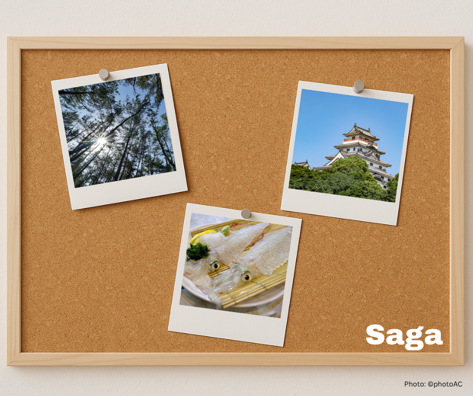 佐賀県、祐気取り、虹の松原、呼子のイカ、唐津城