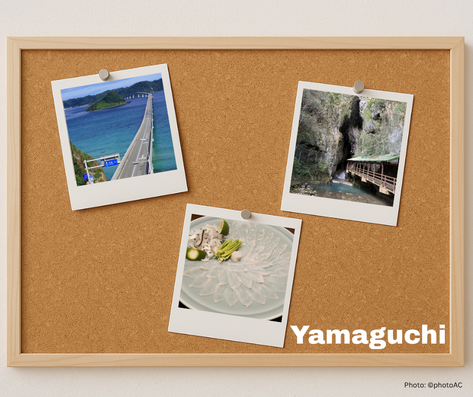 山口県、祐気取り、秋芳洞、ふぐさし、角島大橋